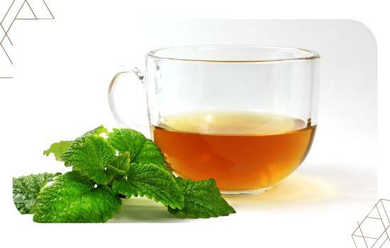 Descubre los Beneficios de los Tés de Hierbas